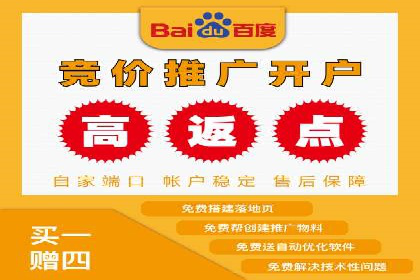 百度推广实战教程：多角度案例分析